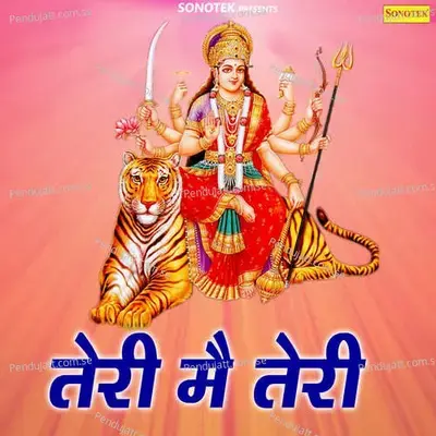 Teri Mein Teri - Sonotek Studio cover album