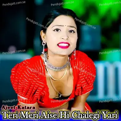 Teri Meri Aise Hi Chalegi Yari - Ajeet Katara album cover 