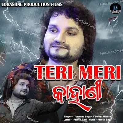 Teri Meri Kahani - Humane Sagar album cover 