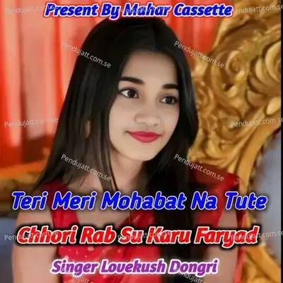 Teri Meri Mohabat Na Tute Chhori Rab Su Karu Faryad - Lovekush Dungri