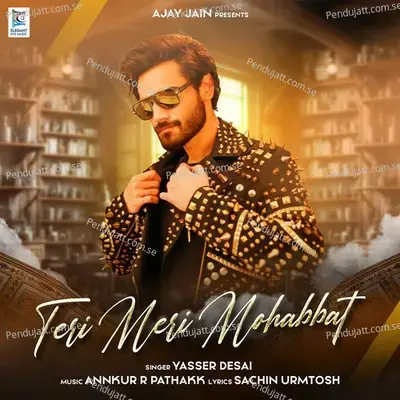 Teri Meri Mohabbat - Yasser Desai album cover 