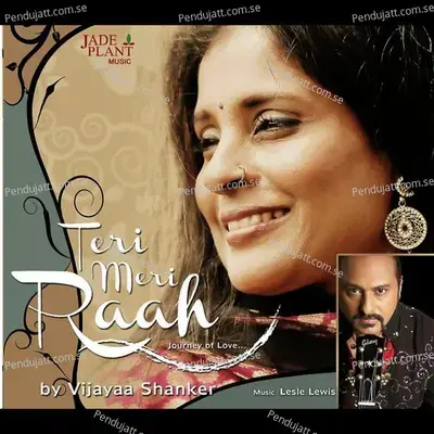 Teri Meri - Vijayaa Shanker album cover 