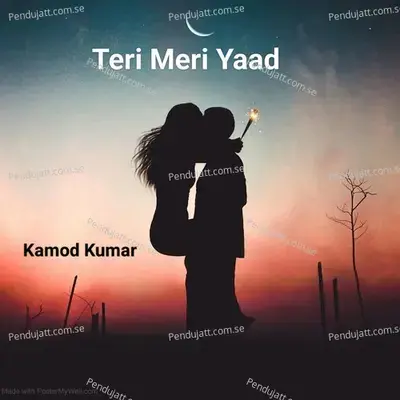 Teri Meri Yaad - Kamod Kumar album cover 