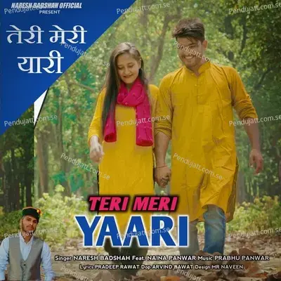 Teri Meri Yaari - Naresh Badshah album cover 