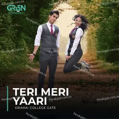 Teri Meri Yaari - Arshman Khan album cover 