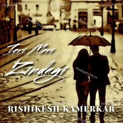 Teri Meri Zindagi - Rishikesh Kamerkar album cover 