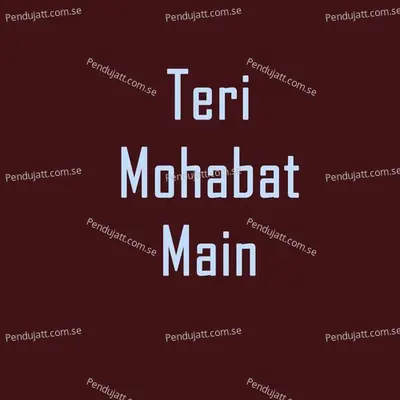 Teri Mohabat Main - Roshan Ravte album cover 