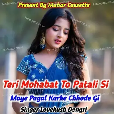 Teri Mohabat To Patali Si Moye Pagal Karke Chhode Gi - Lovekush Dungri