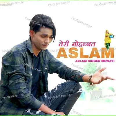 Teri Mohabbat Aslam - Aslam Singer Mewati album cover 