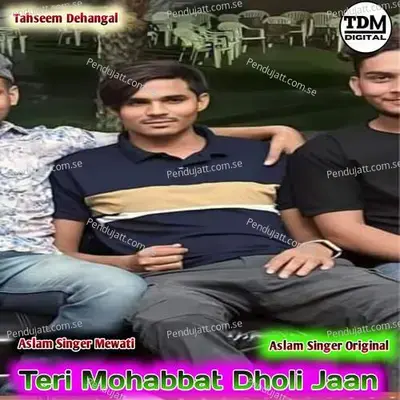 Teri Mohabbat Dholi Jaan - Tahseem Dehangal album cover 