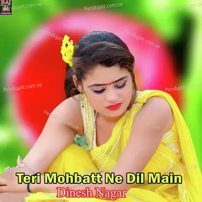 Teri Mohbatt Ne Dil Main - Dinesh Nagar album cover 