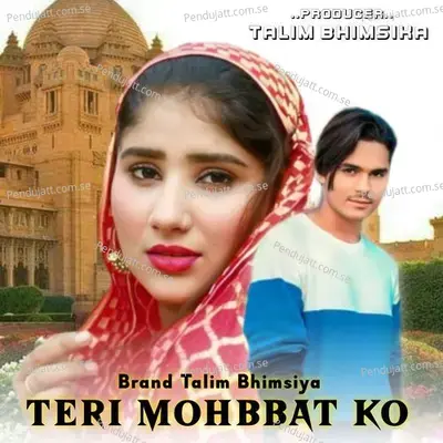 Teri Mohbbat Ko - Brand Talim Bhimsiya album cover 