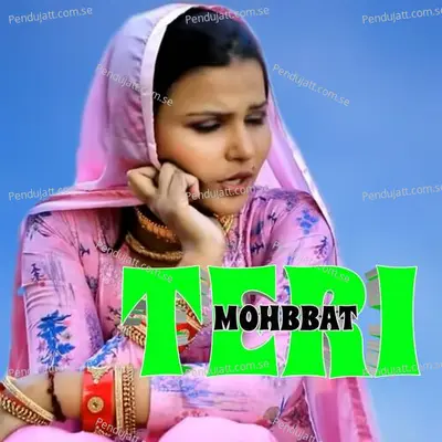 Teri Mohbbat - Aslam Singer Mewati album cover 