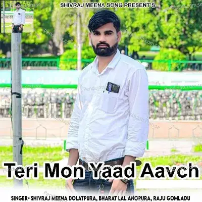 Teri Mon Yaad Aavch - Shivraj Meena Dolatpura album cover 