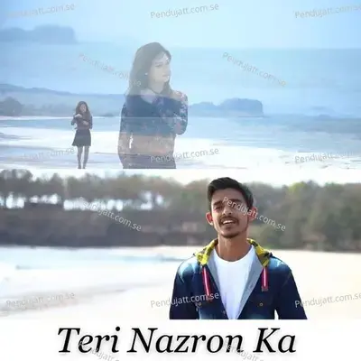 Teri Nazron Ka - Vishal Singh album cover 