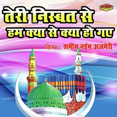 Teri Nisbat Se Hum Kya Se Kya Ho Gaye - Shamim Naim Ajmeri album cover 