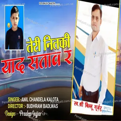 Teri Nitki Yad Satav - Anil Chandela album cover 