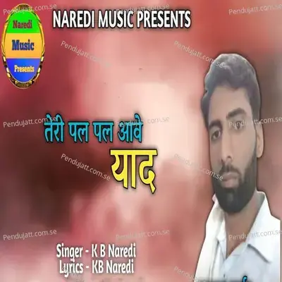 Teri Pal Pal Yaad - KB Naredi album cover 