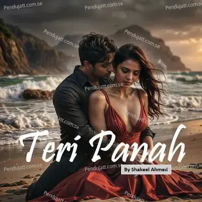 Teri Panah - Shakeel Ahmed album cover 