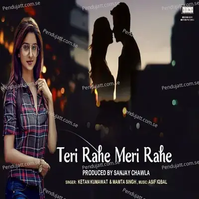 Teri Rahe Meri Rahe - Ketan Kumawat album cover 