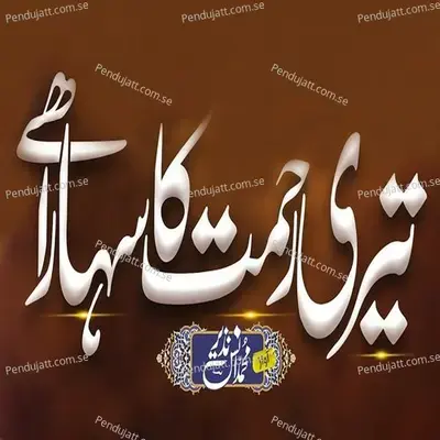 Teri Rehmat Ka Sahara Hai - Muhammad Anas Nazeer album cover 