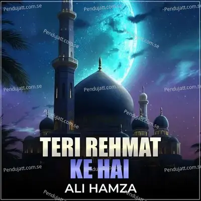 Teri Rehmat Ke Hai - Ali Hamza album cover 