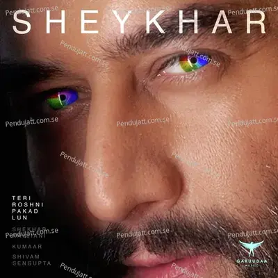 Teri Roshni Pakad Lun - Shekhar Ravjiani album cover 