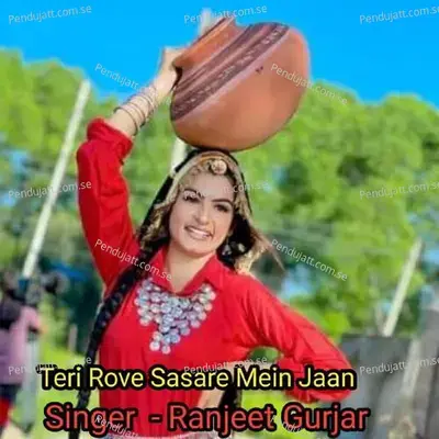 Teri Rove Sasare Mein Jaan - Ranjeet Gurjar album cover 
