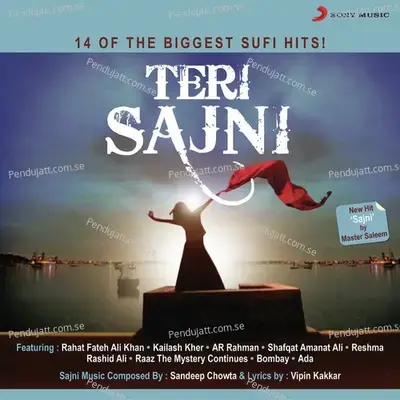 Sajni - Master Saleem album cover 