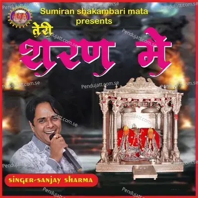 Teri Saran Mea - Sanjay Sharma album cover 