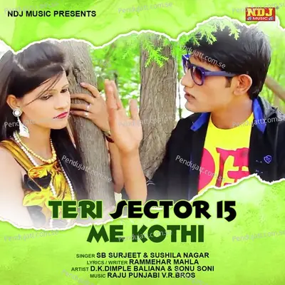 Teri Sector 15 Me Kothi - SB Surjeet album cover 