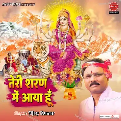 Teri Sharan Mein Aaya Hu - Vijay Kumar album cover 