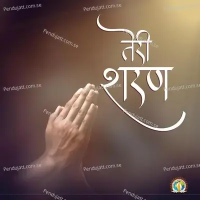 Teri Sharan Mein Aaye Ke - Djjs - Divya Jyoti Jagrati Sansthan album cover 