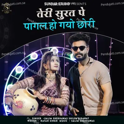 Teri Surat Pe Pagal Ho Gayo Chori - Salim Shekhawas album cover 