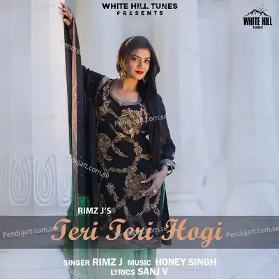 Teri Teri Hogi - Rimz J album cover 