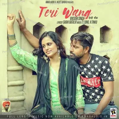 Teri Wang - Vikram Singh album cover 