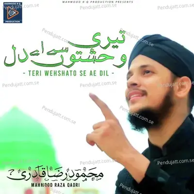 Teri Wehshato Se Ae Dil - Mahmood Raza Qadri album cover 