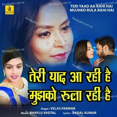 Teri Yaad Aa Rahi Hai Mujhko Rula Rahi Hai - Velas Parmar album cover 