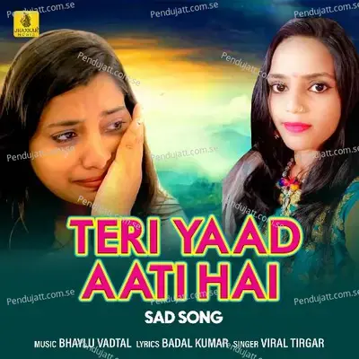 Teri Yaad Aati Hai - Viral Tirgar album cover 