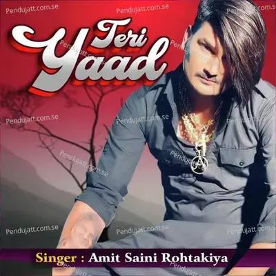 Teri Yaad - Amit Saini Rohtakiya