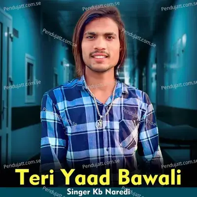 Teri Yaad Bawali - KB Naredi album cover 