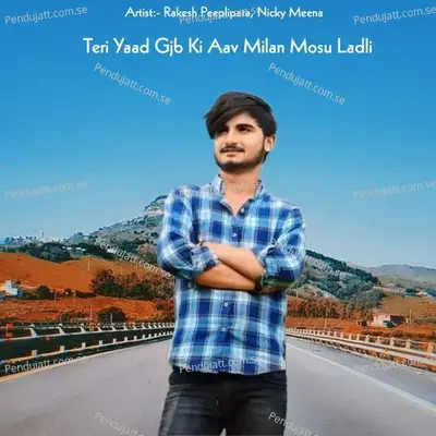 Teri Yaad Gjb Ki Aav Milan Mosu Ladli - Rakesh Peeplipara Nicky Meena album cover 