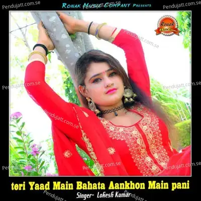 Teri Yaad Main Bahata Aankhon Mein Pani - Lokesh Kumar album cover 