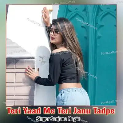 Teri Yaad Me Teri Janu Tadpe - Sanjana Nagar album cover 