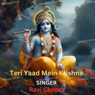 Teri Yaad Mein Krishna - Santosh Kumar