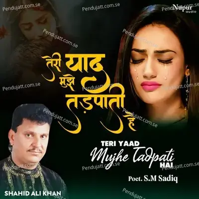 Teri Yaad Mujhe Tadpati Hai - Shahid Ali Khan album cover 