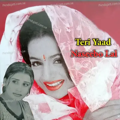 Teri Yaad - Naseebo Lal cover album