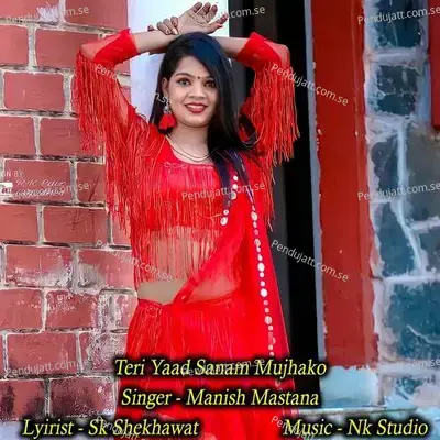 Teri Yaad Sanam Mujhako - NK Studio