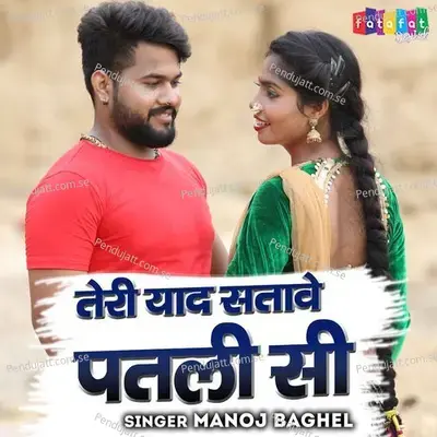 Teri Yaad Satave Patli Si - Manoj Baghel album cover 