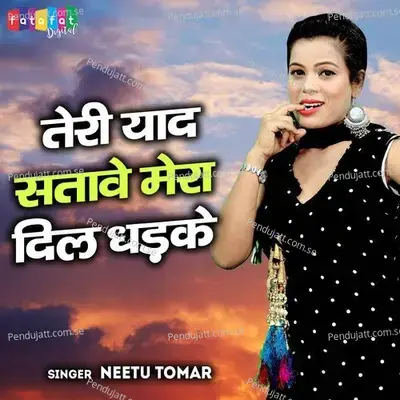 Teri Yaad Satawe Mera Dil Dhadke - Neetu Tomar album cover 